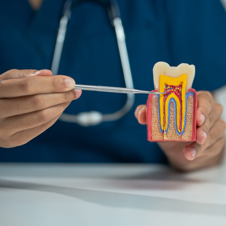 Endodontia